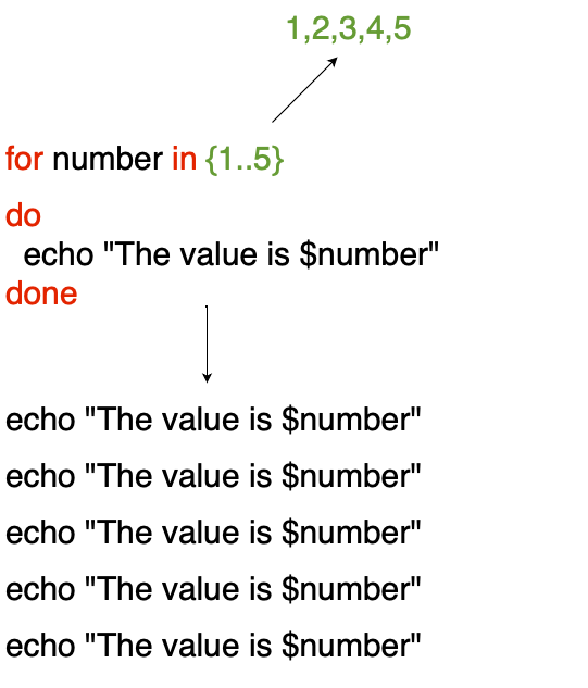 For loop
