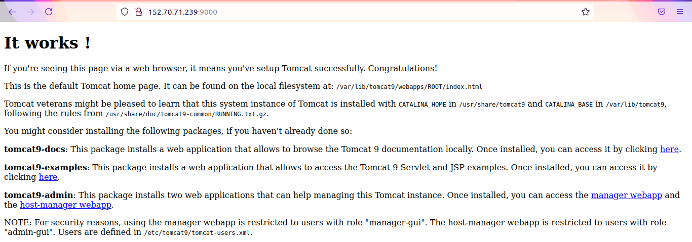 tomcat
