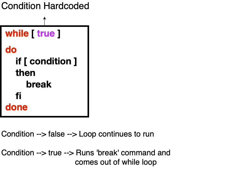 While loop